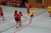 k-Handball in Worbis_wJD_17.03.2023(2).JPG