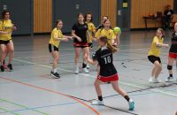k-Handball in Worbis_wJD_wJE_Turnier(37).JPG