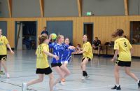 k-HiW_Saisonabschlussturnier_D-Jugend_18.06.2023(50).JPG