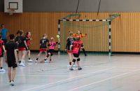 k-Handball in Worbis_wJD_wJE_Turnier(4).JPG