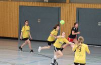 k-Handball in Worbis_wJD_wJE_Turnier(38).JPG