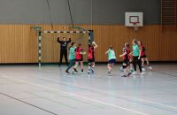 k-Handball in Worbis_wJD_wJE_Turnier(12).JPG