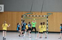k-Handball in Worbis_wJD_wJE_Turnier(10).JPG