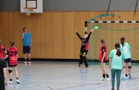 k-Handball in Worbis_wJD_wJE_Turnier(16).JPG
