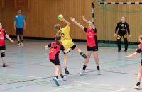 k-Handball in Worbis_wJD_wJE_Turnier(25).JPG