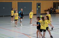 k-Handball in Worbis_wJD_wJE_Turnier(9).JPG